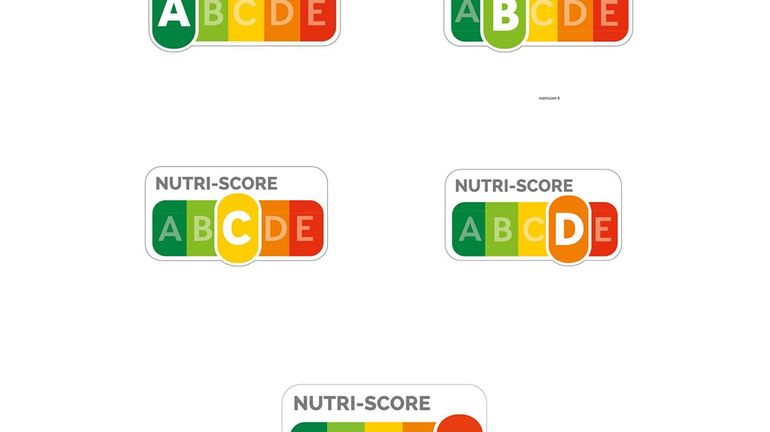 mode de recherche alimentaire en 9 lettres