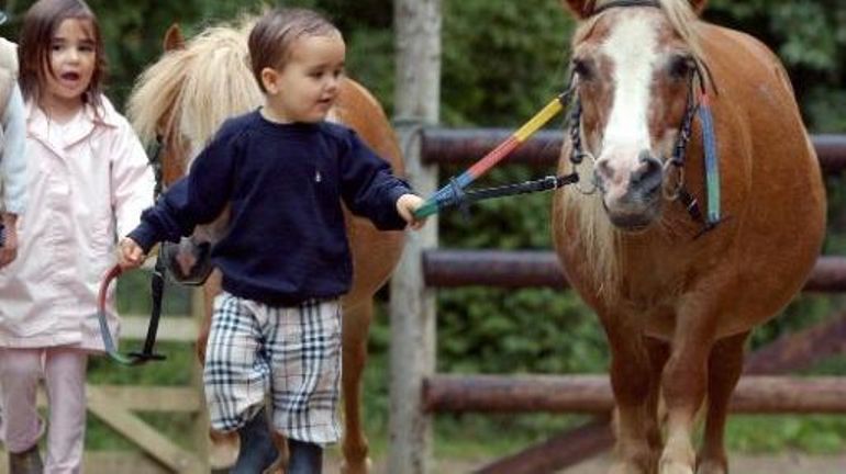 Dans Mon Monde A Moi Ya Que Des Poney "Moi je peux pas, j'ai poney": contrer l'abstention avec humour
