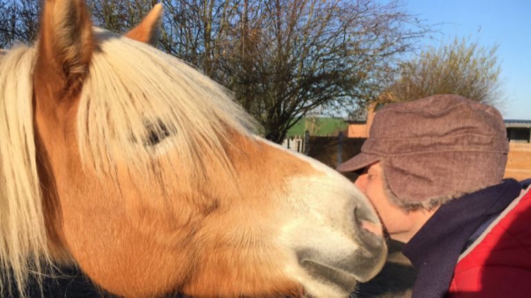 Hippotherapie Ce N Est Pas Le Therapeute Qui Est Therapeute Ni