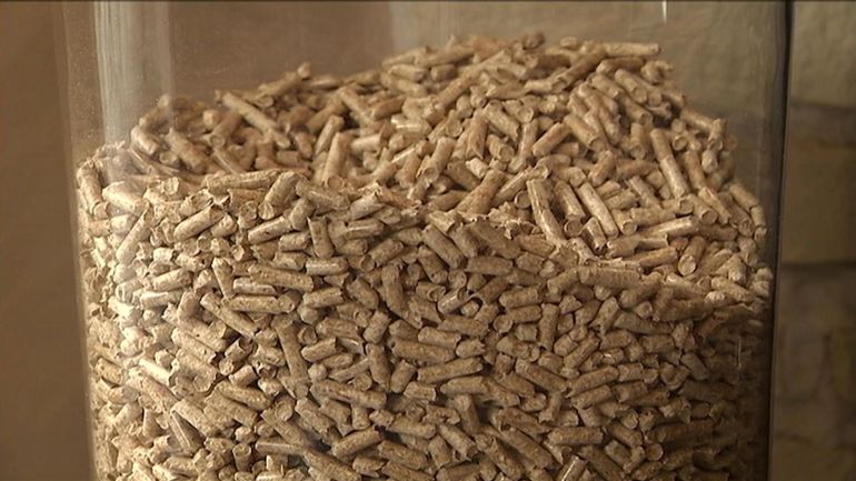 Des Pellets De Chauffage Comme Litiere Pour Chat Un Vrai Bon Plan