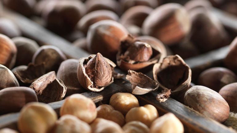 Recolte Des Noisettes Noix Et Chataignes Comment Les Utiliser