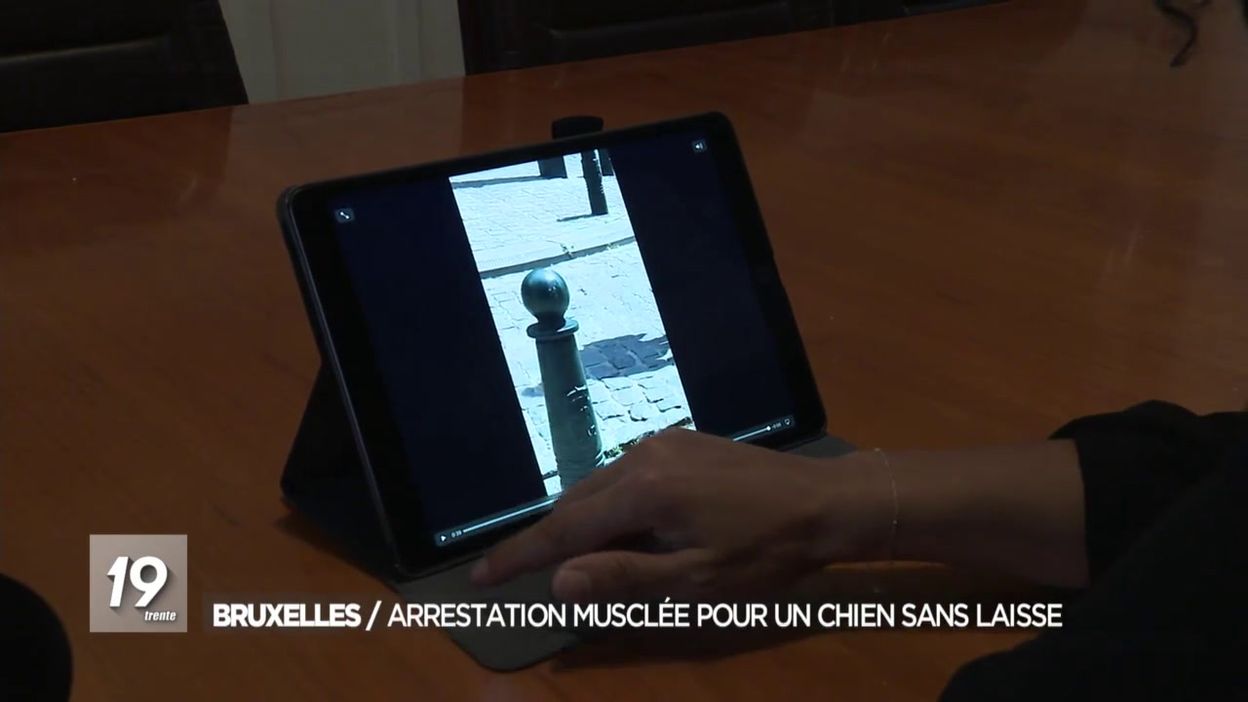 Une femme dépose plainte après interpellation policière