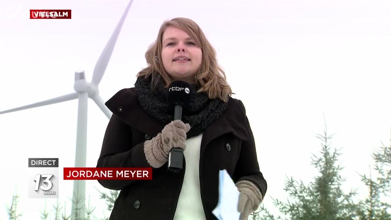 Vielsam : des éoliennes construites dans les bois