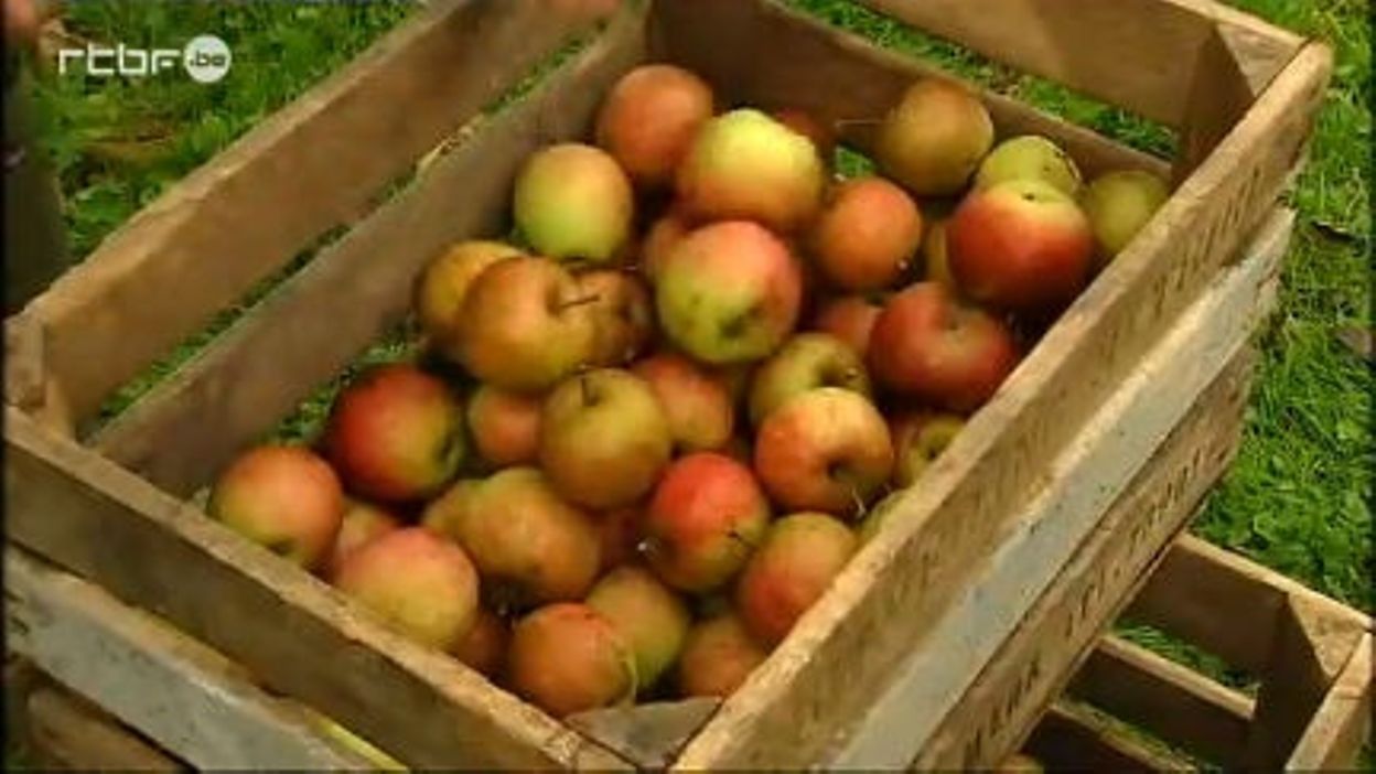 les pommes du verger transformees en jus