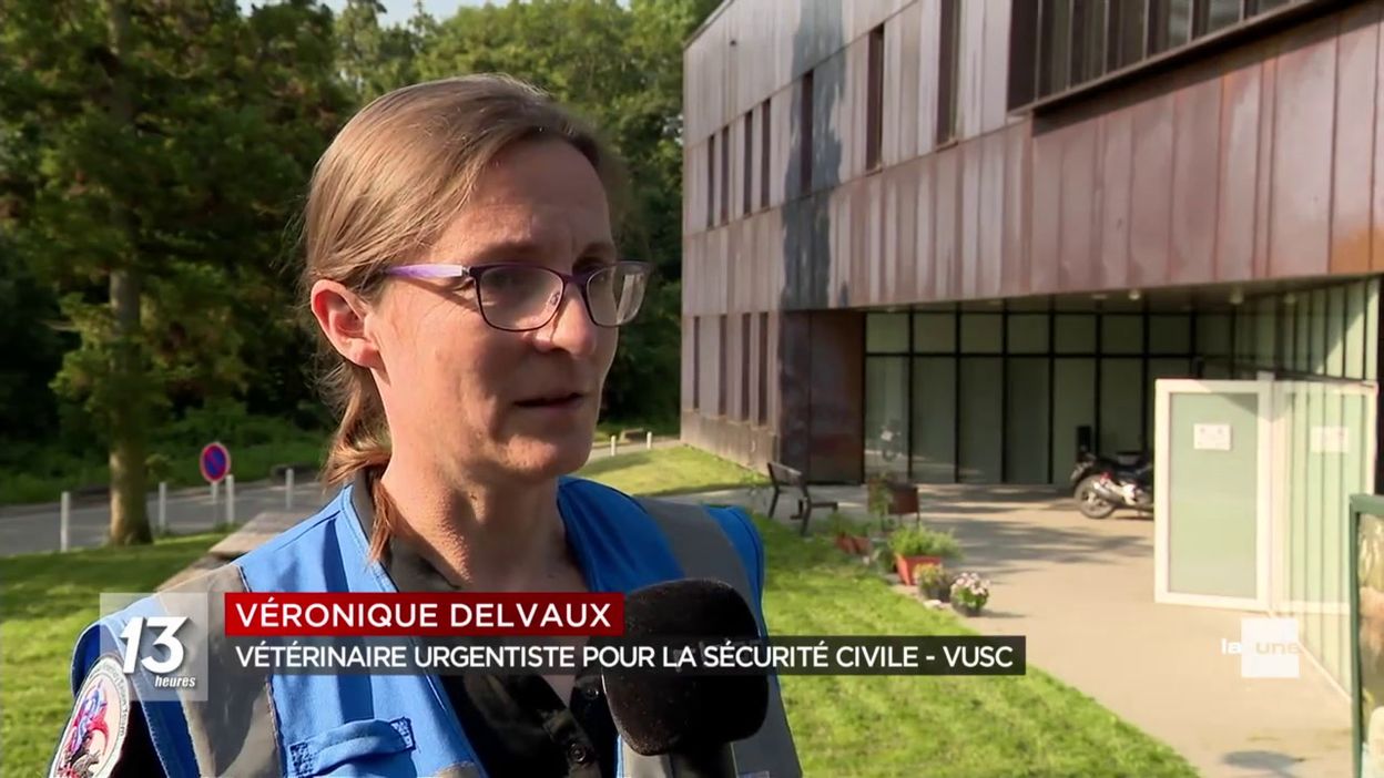 De nombreux animaux pris en charge suite aux inondations