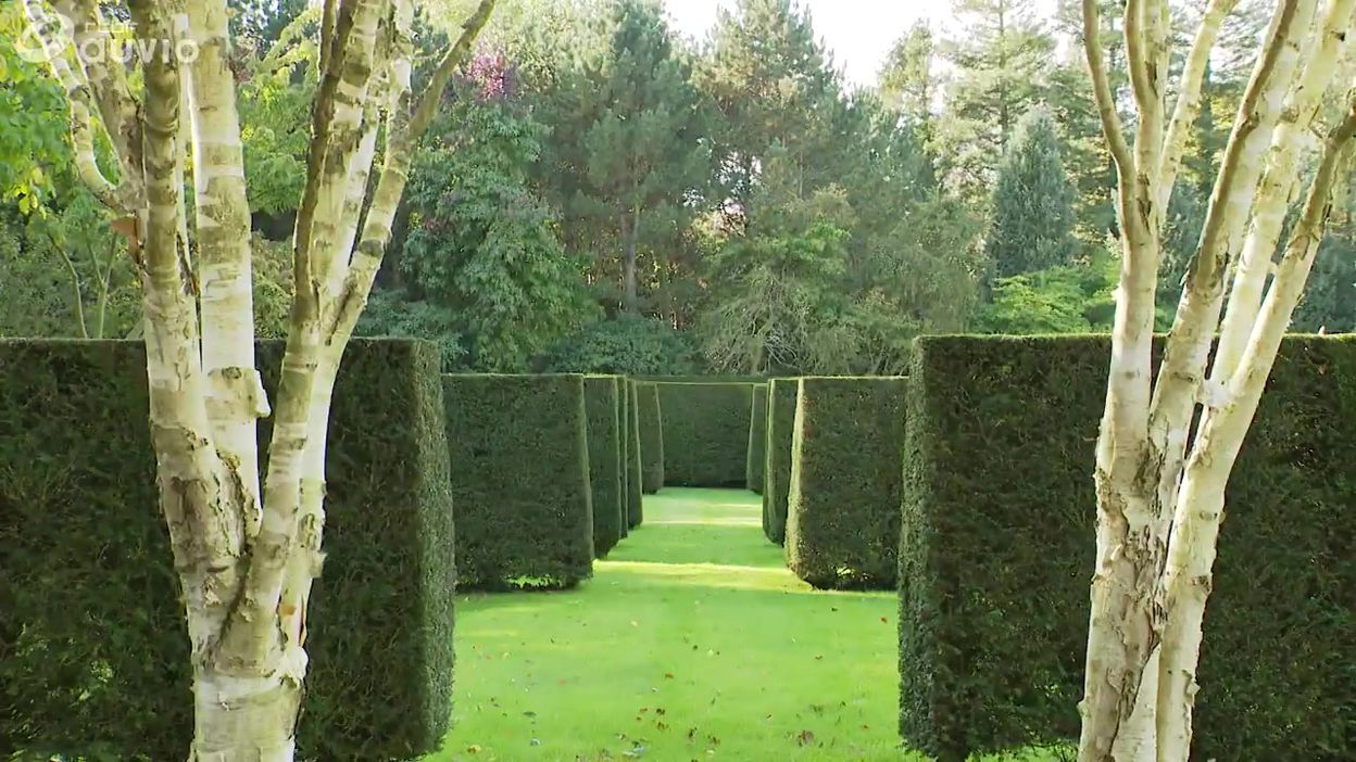 Jardins Loisirs Extrait De Jardins Loisirs Du 24 11 2019 Sur Auvio