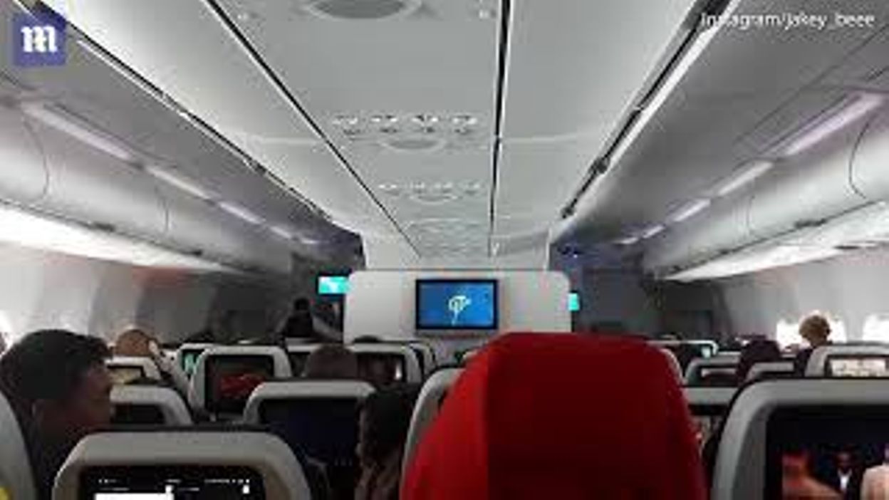 Un Oiseau S Envole A L Interieur De La Cabine D Un Avion De