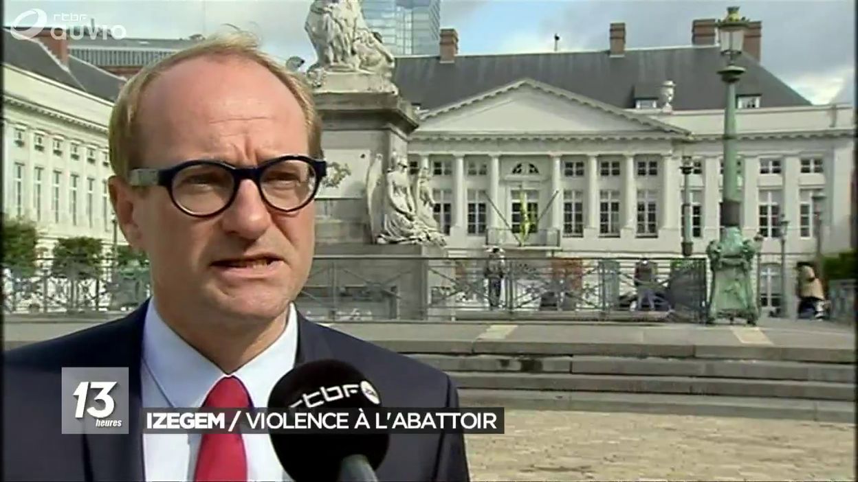 Violences sur des animaux dans un abattoir à Izegem