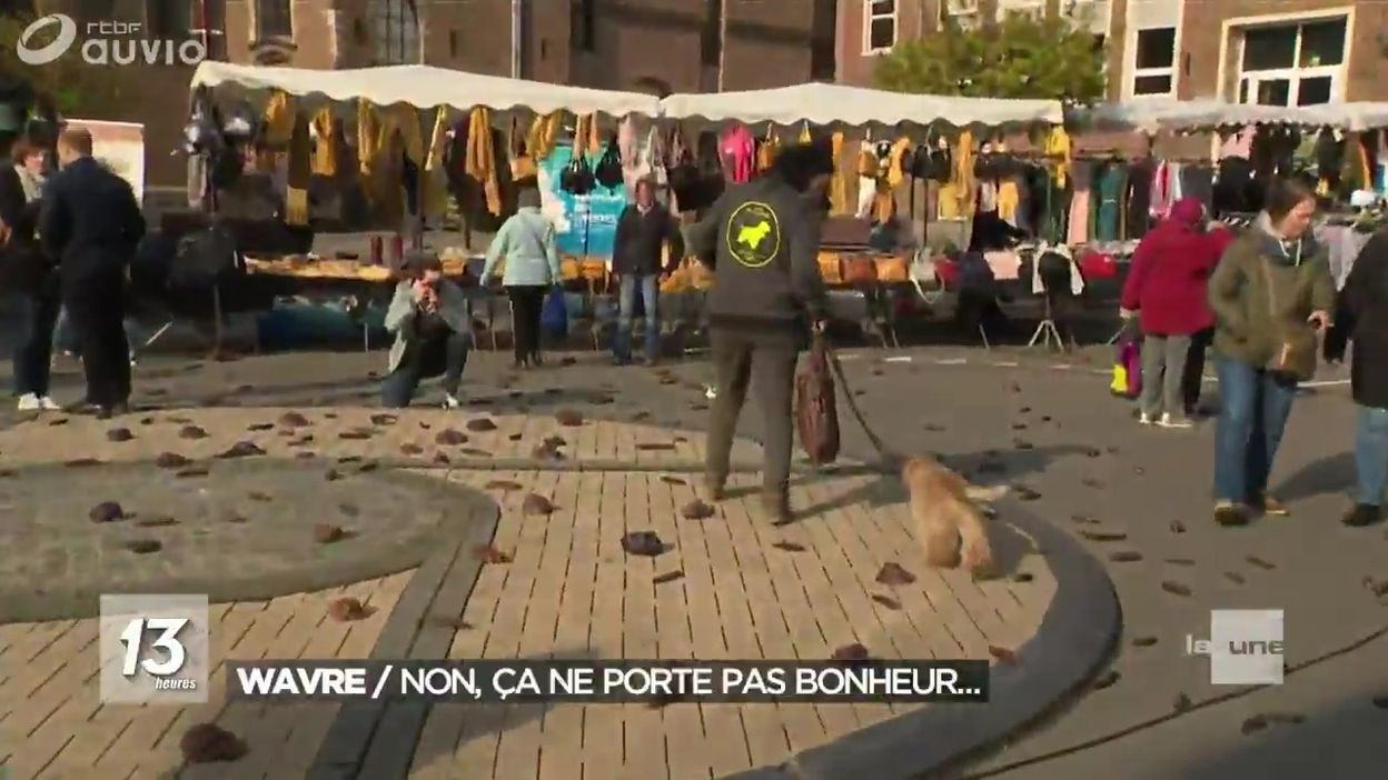 Wavre Mission Top Secrete Choc Contre Les Crottes De Chien