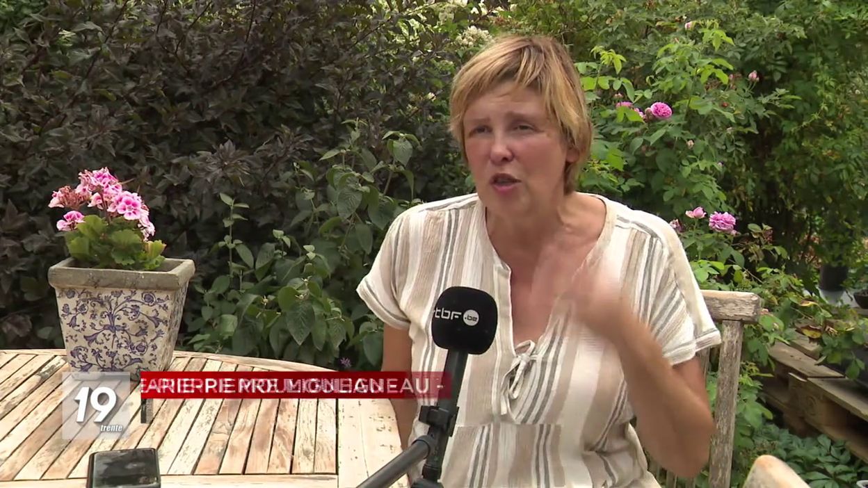 Le danger des guêpes ne doit pas être sous-estimé