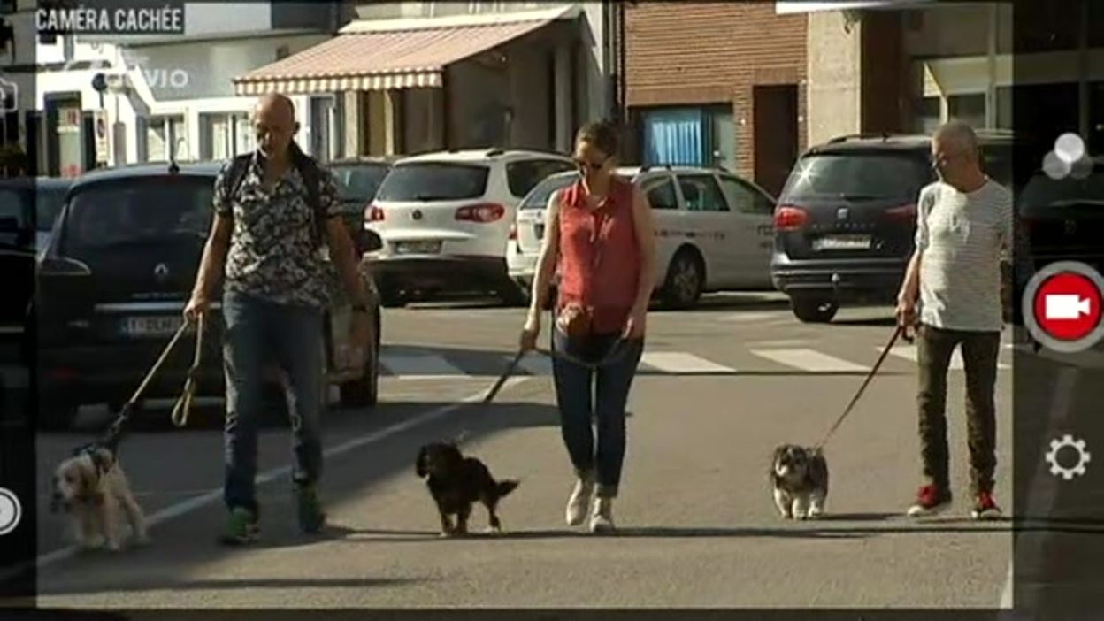 Prendre Le Train Avec Son Chien Il Faut Penser Au Supplément On Nest Pas Des Pigeons