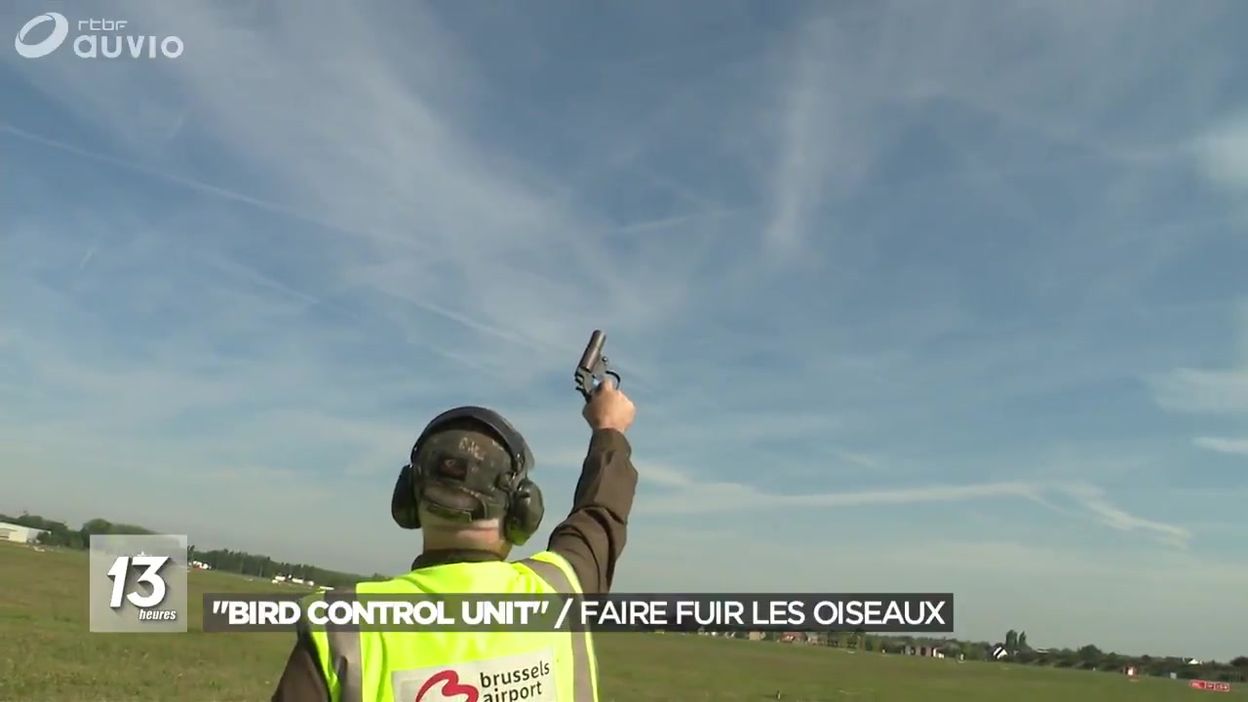 Bird Control Unit Faire Fuir Les Oiseaux Autour Des Avions Jt 13h 23052019