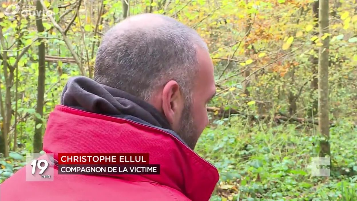 France Une Femme Enceinte Tuée Par Des Chiens En Forêt Jt 19h30 21112019