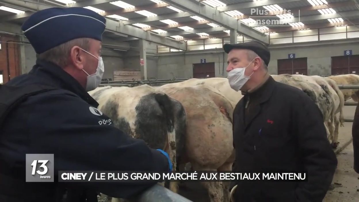 Ciney : le plus grand marché aux bestiaux est maintenu