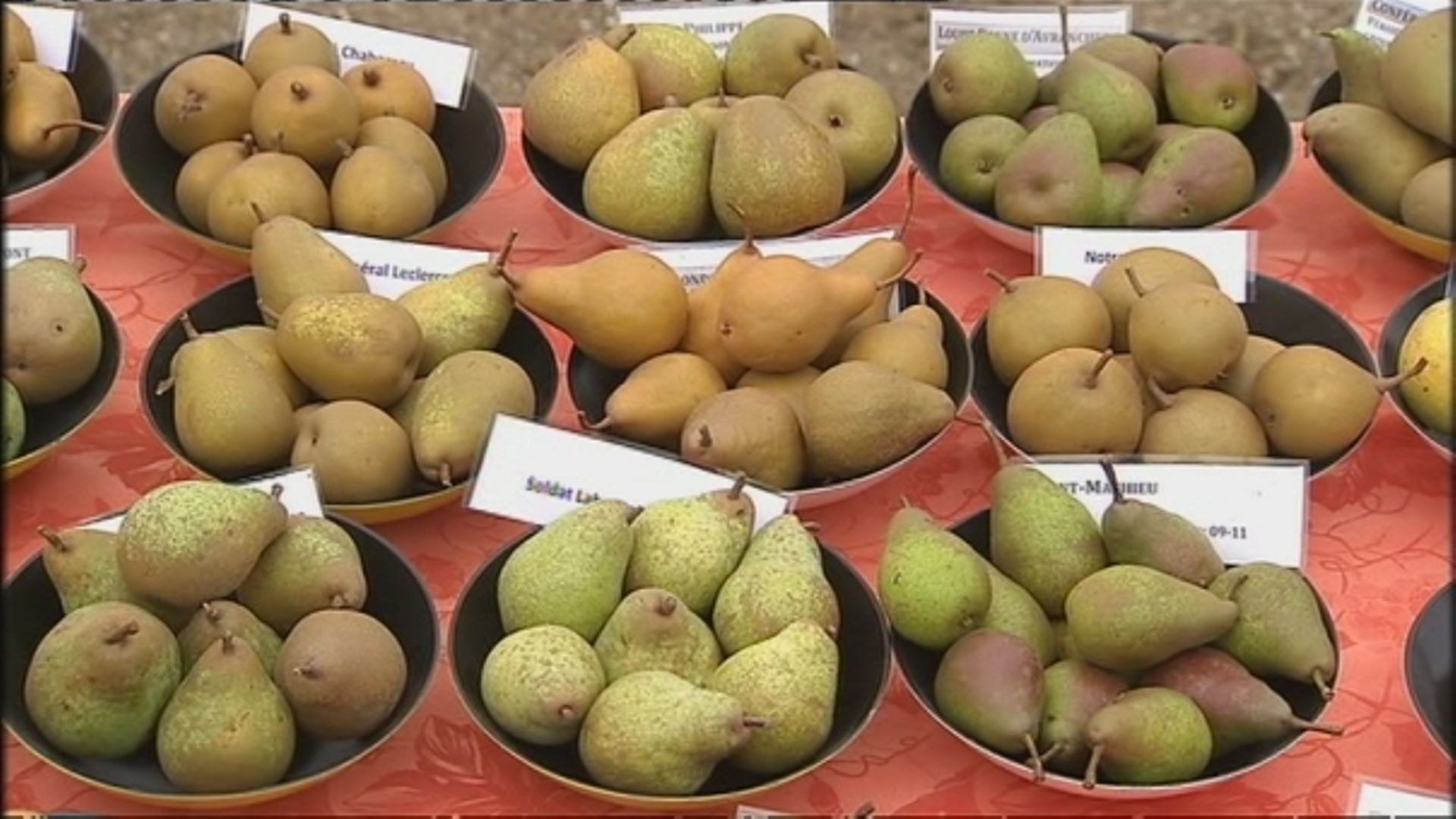 Les anciennes variétés de poires de la pépinière Guy Lemaire - Extrait ...