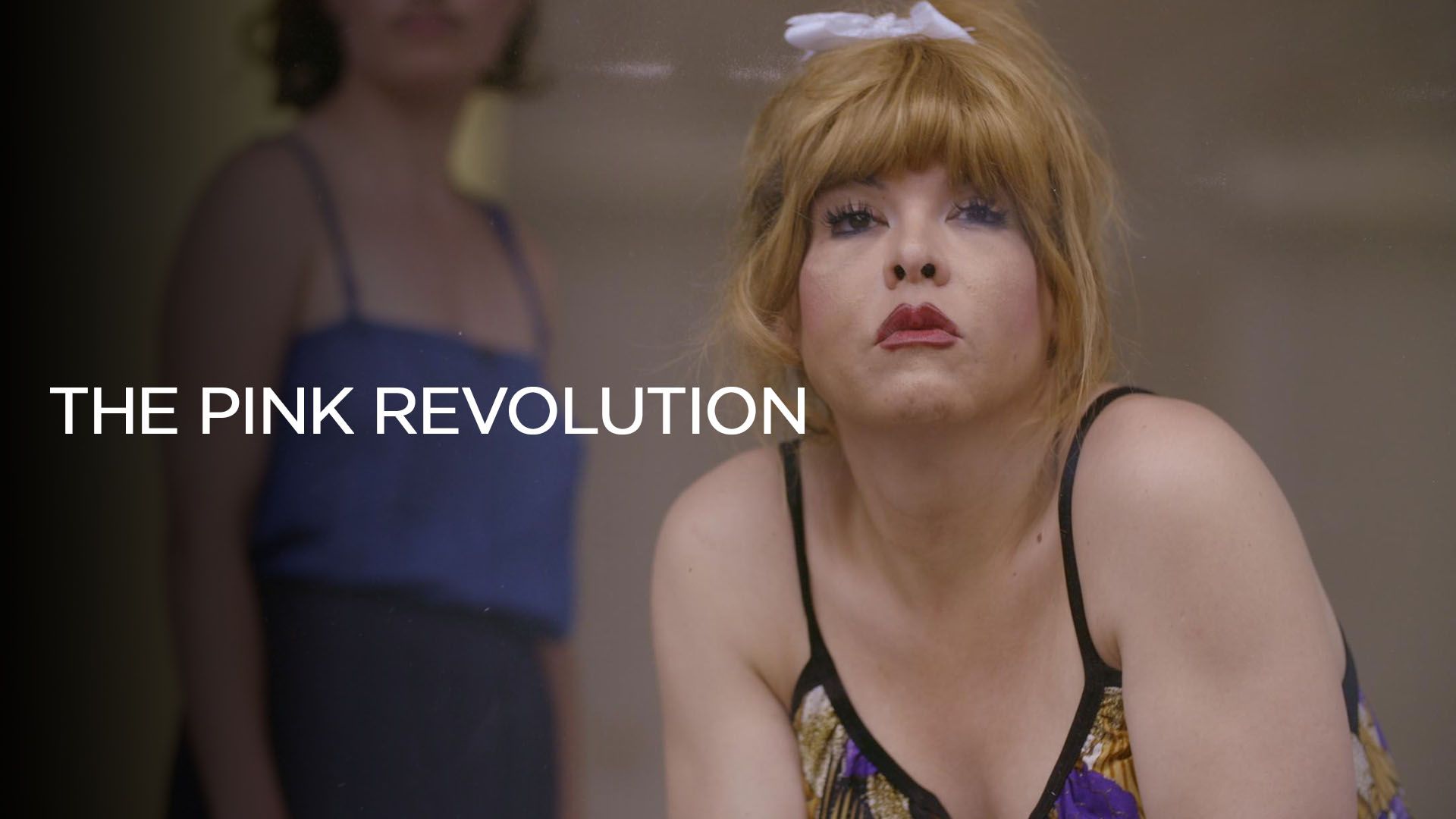 The pink revolution - Une ambition : ne plus être invisibles