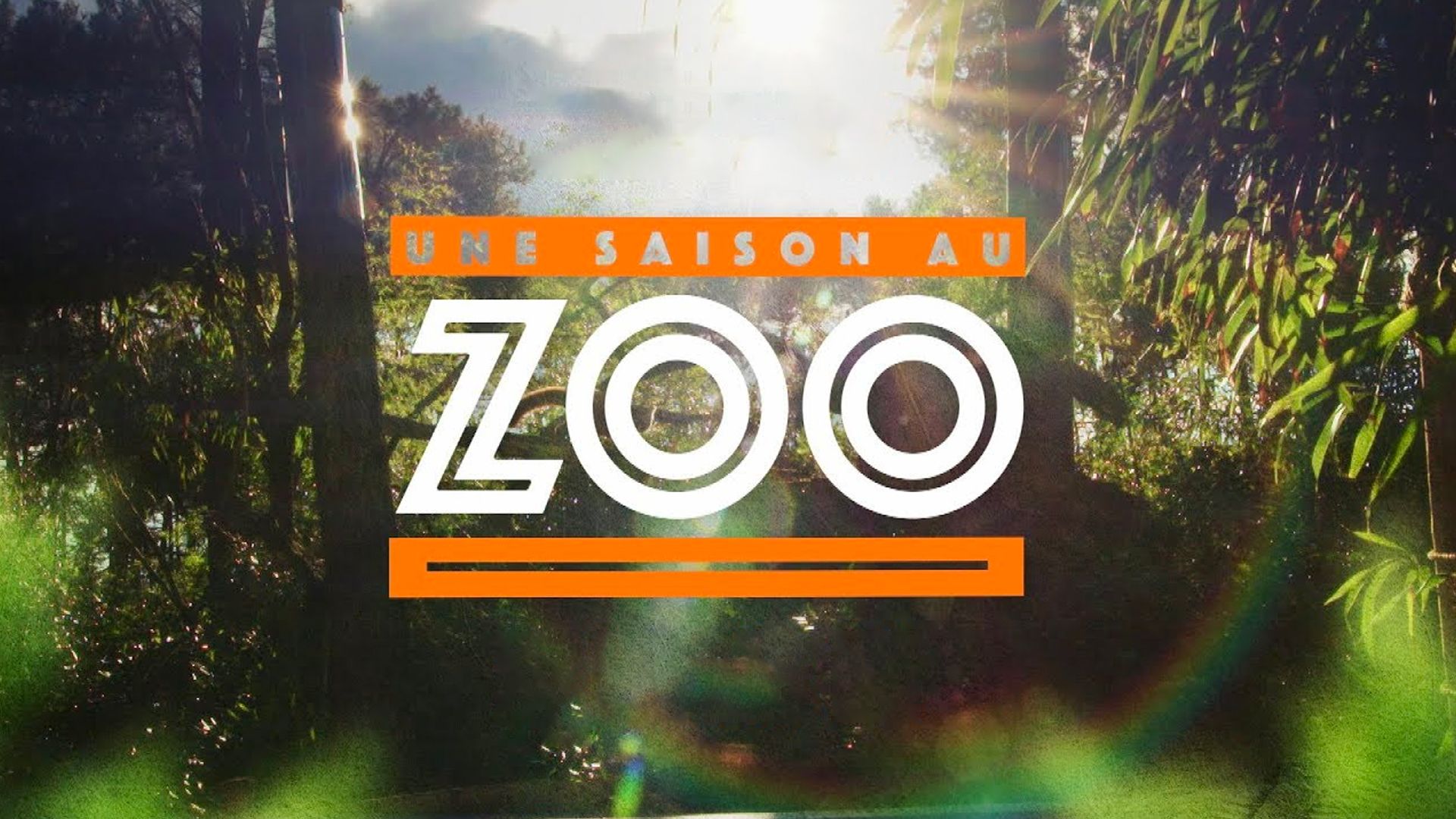 Une saison au zoo S10