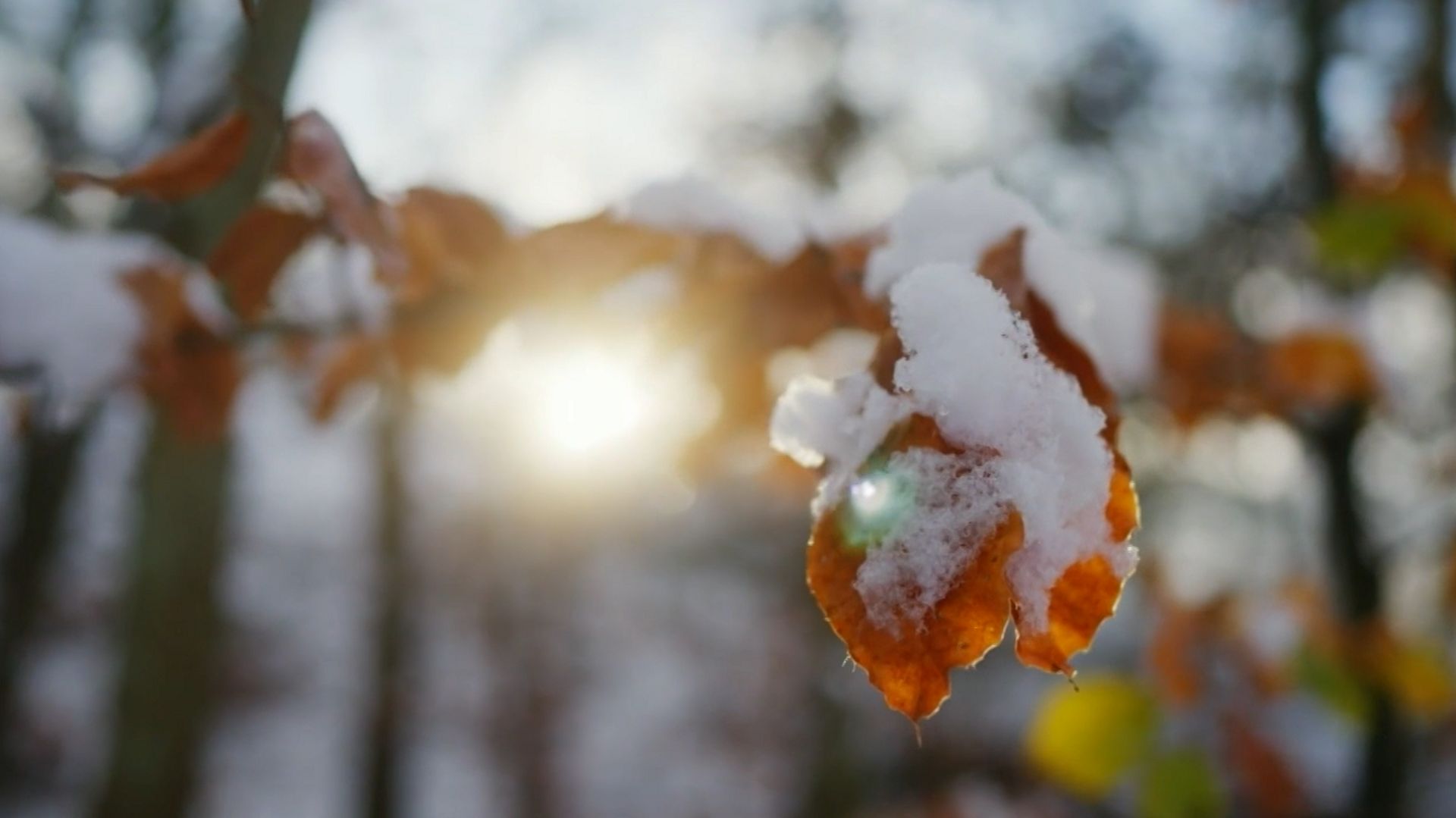 La fonte des neiges peut-elle provoquer des inondations ? - RTBF Actus