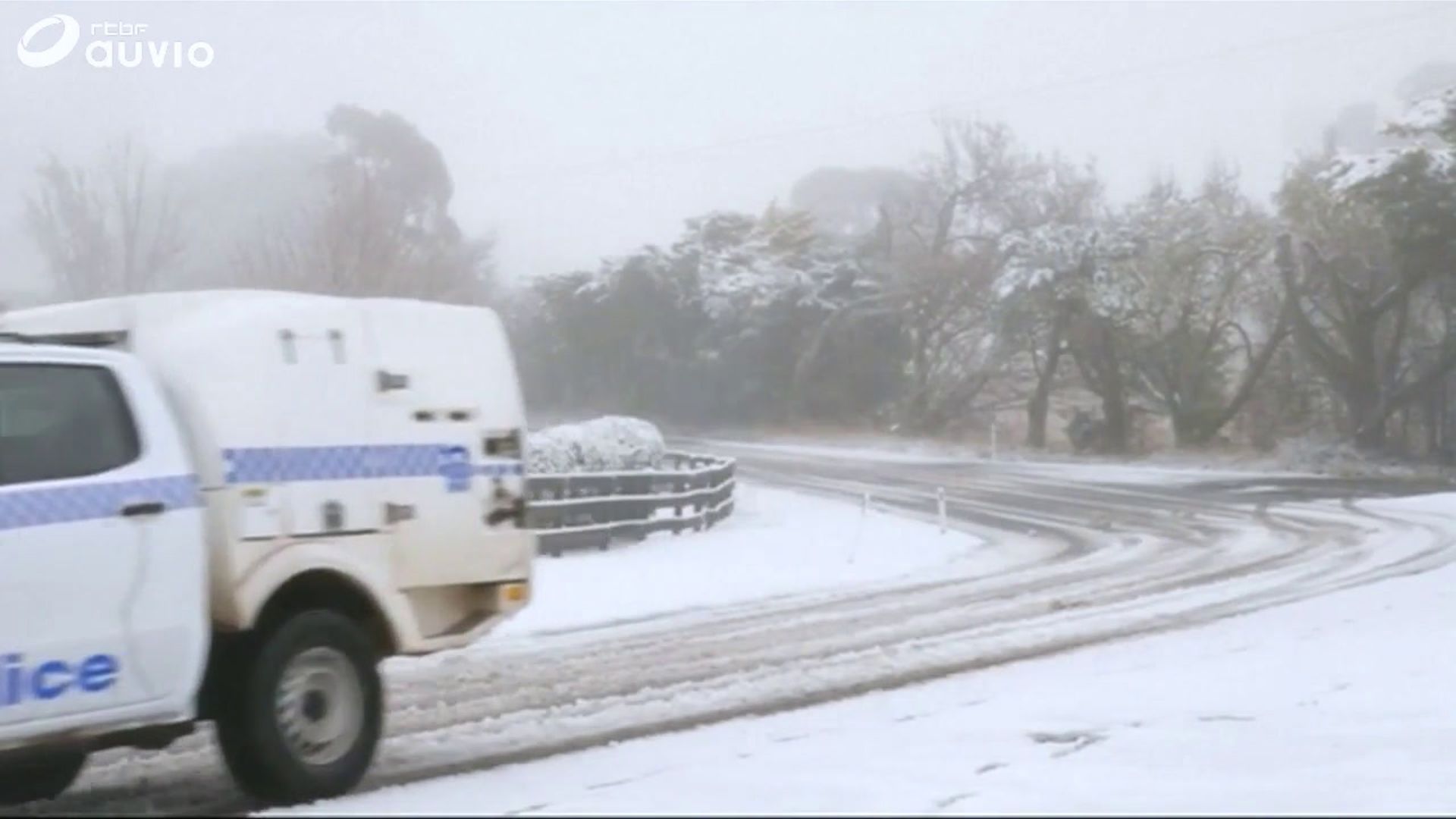 Yat Il De La Neige En Australie Des kangourous dans la neige : conditions climatiques extrêmes en