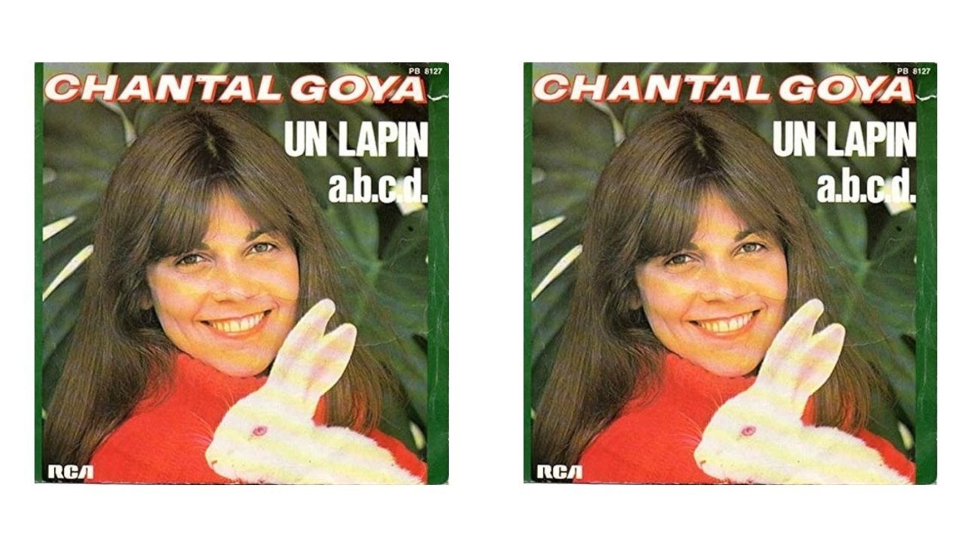 Un lapin de Chantal Goya une chanson sur la chasse et sur le