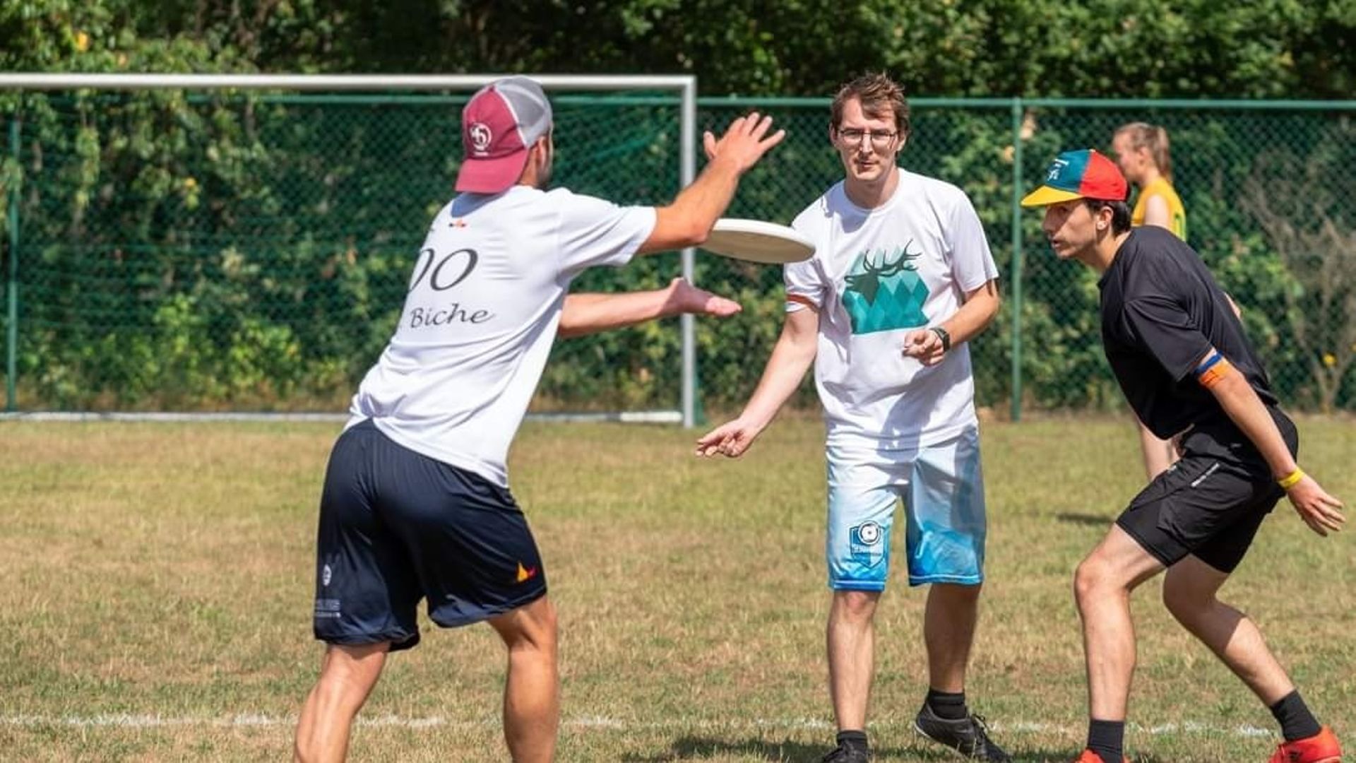 Arlon: jouer en équipe au frisbee au club Cerfs Volants