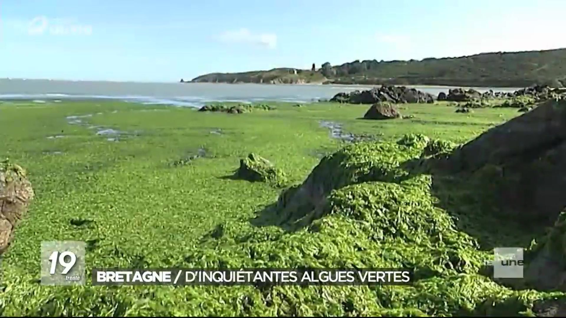 Algues vertes, un fléau  Eau et Rivières de Bretagne