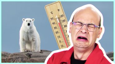 Bientôt la disparition de l’ours polaire ?