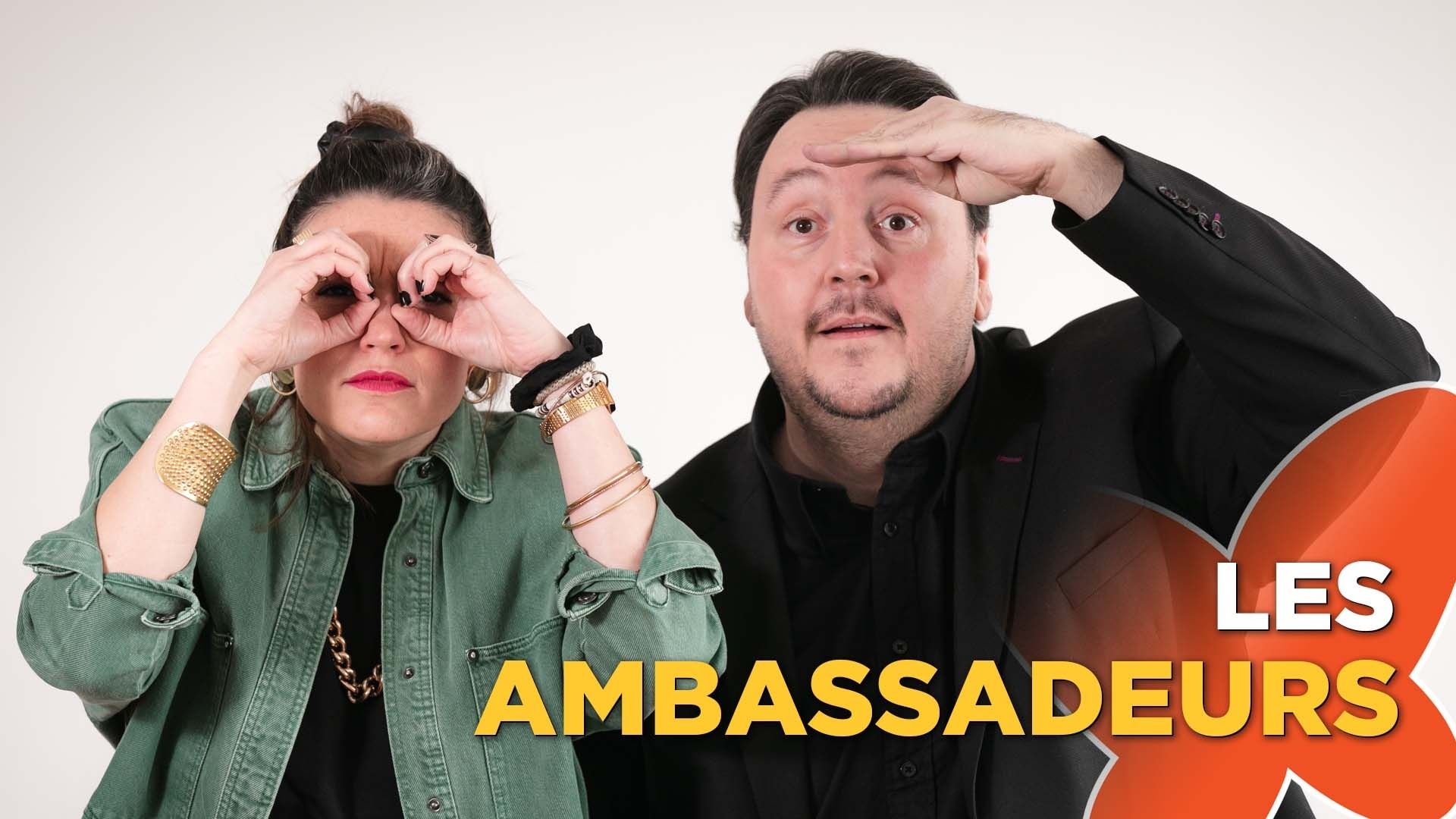 Les ambassadeurs