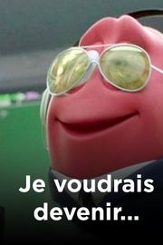 Je voudrais devenir...