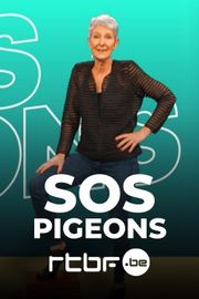 On n'est pas des pigeons - SOS Pigeons