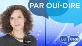 Par Ouï-dire