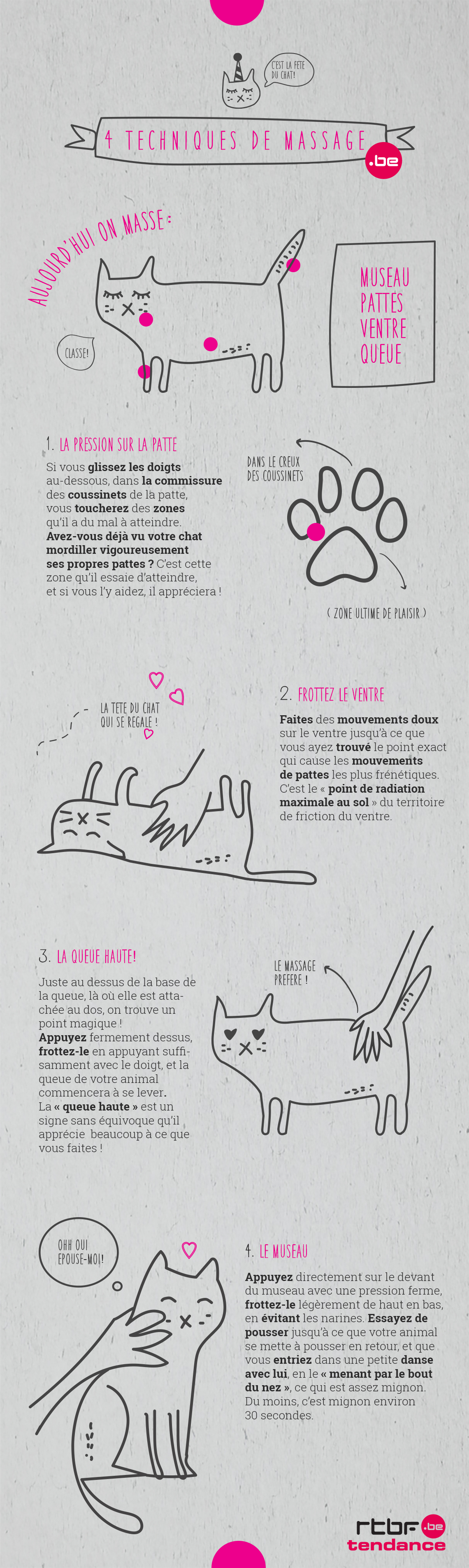 4 Techniques Pour Masser Votre Chat